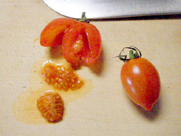 ミニトマトから自家採種